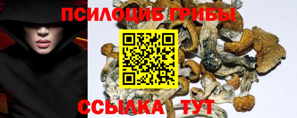 Галлюциногенные грибы GOLDEN TEACHER  Вход с VPN  Псилоцибиновые грибы мухоморы  Холмск 