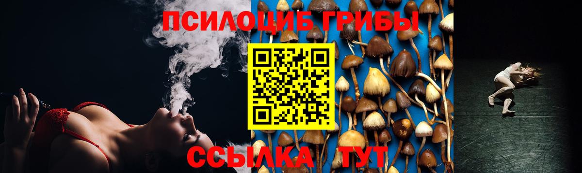 Галлюциногенные грибы мухоморы Холмск