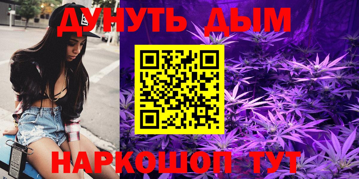 Каннабис сатива Холмск